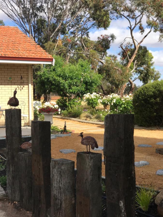 Yellow Gum Bed And Breakfast Katanning エクステリア 写真