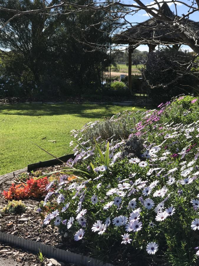 Yellow Gum Bed And Breakfast Katanning エクステリア 写真
